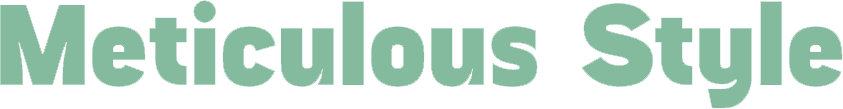 Meticulous Style
